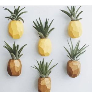 Meet your Posher, Rechelle